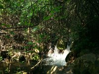 E, Cadiz, El Bosque 1, Saxifraga-Dirk Hilbers