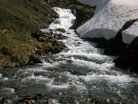 CH, Ticino, Airolo, Lago di Dentro 3, Saxifraga-Jan van der Straaten