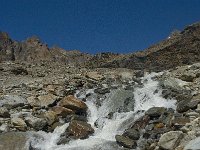 CH, Wallis, Saas Grund, Kreuzboden-Triftbach 1, Saxifraga-Willem van Kruijsbergen