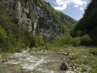 F, Drome, Glandage, Gorge des Gats 3, Saxifraga-Jan van der Straaten