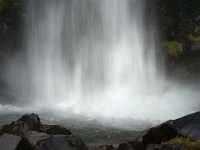 IS, Austurland, Austur-skaftafellssysla, Svartifoss 6, Saxifraga-Dick Hoogenboom