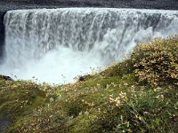 IS, Nordurland eystra, Nordurbing, Dettifoss 3, Saxifraga-Dick Hoogenboom