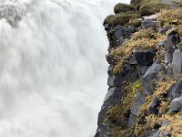 IS, Nordurland eystra, Nordurbing, Dettifoss 4, Saxifraga-Mira Hoogenboom