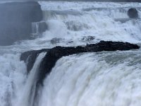 IS, Sudurland, Blaskogabyggd, Gullfoss 2, Saxifraga-Dick Hoogenboom