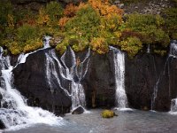 IS, Vesturland, Borgarbyggd, Hraunfossar 1, Saxifraga-Mira Hoogenboom