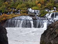 IS, Vesturland, Borgarbyggd, Hraunfossar 10, Saxifraga-Dick Hoogenboom