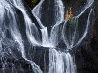 IS, Vesturland, Borgarbyggd, Hraunfossar 11, Saxifraga-Dick Hoogenboom