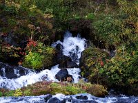 IS, Vesturland, Borgarbyggd, Hraunfossar 12, Saxifraga-Dick Hoogenboom