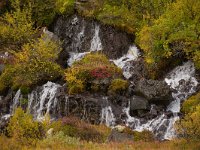 IS, Vesturland, Borgarbyggd, Hraunfossar 13, Saxifraga-Dick Hoogenboom