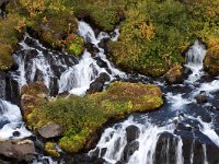 IS, Vesturland, Borgarbyggd, Hraunfossar 14, Saxifraga-Dick Hoogenboom