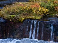 IS, Vesturland, Borgarbyggd, Hraunfossar 2, Saxifraga-Dick Hoogenboom