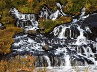 IS, Vesturland, Borgarbyggd, Hraunfossar 3, Saxifraga-Mira Hoogenboom