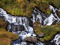 IS, Vesturland, Borgarbyggd, Hraunfossar 4, Saxifraga-Dick Hoogenboom