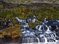 IS, Vesturland, Borgarbyggd, Hraunfossar 5, Saxifraga-Dick Hoogenboom