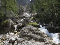 I, Sued-Tirol, Corvara, Kolfuschg 6, Saxifraga-Willem van Kruijsbergen