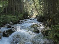 I, Sued-Tirol, Corvara, Kolfuschg, Ru de Pisciadu 3, Saxifraga-Willem van Kruijsbergen