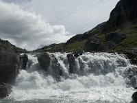 N, Oppland, Lom, Sognefjell 24, Saxifraga-Jan van der Straaten