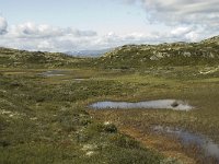 N, Oppland, Sel, Klufttjonne 10, Saxifraga-Willem van Kruijsbergen