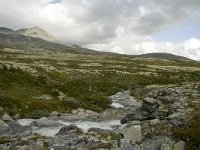 N, Oppland, Sel, Vesle Ula 2, Saxifraga-Willem van Kruijsbergen