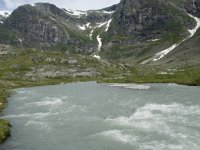 N, Sogn og Fjordane, Luster, Austerdalen 2, Saxifraga-Willem van Kruijsbergen