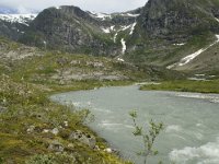 N, Sogn og Fjordane, Luster, Austerdalen 3, Saxifraga-Willem van Kruijsbergen