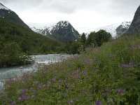 N, Sogn og Fjordane, Luster, Bergsetbreen 4, Saxifraga-Willem van Kruijsbergen