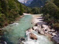 SLO, Gorenjska, Bovec, Soca 3, Saxifraga-Hans Dekker