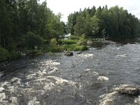 S, Uppsala lan, Heby, Sevedskvarn 2, Saxifraga-Jan van der Straaten