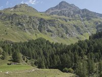 CH, Graubuenden, Stampa, Malojapass 9, Saxifraga-Willem van Kruijsbergen