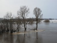 EST, Laanemaa, Lihula vald, Matsalu 4, Saxifraga-Bart Vastenhouw