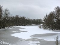 EST, Laanemaa, Lihula vald, Matsalu, Kasari river 1, Saxifraga-Bart Vastenhouw