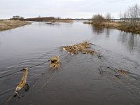 EST, Parnumaa, Laaneranna vald, Kloostri linnuvaatlustorn 1, Saxifraga-Tom Heijnen