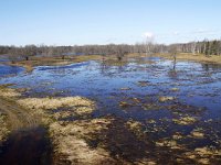 EST, Viljandimaa, Toramaa puisniidu rada in Soomaa rahvuspark 2, Saxifraga-Tom Heijnen