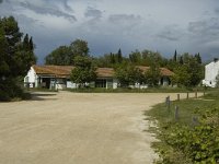 F, Bouches-du-Rhone, Arles, Marais de Vigueirat 35, Saxifraga-Marijke Verhagen