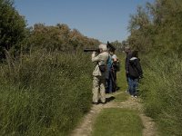 F, Bouches-du-Rhone, Arles, Marais de Vigueirat 9, Saxifraga-Marijke Verhagen