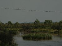 H, Hadju-Bihar, Tiszababolna, Borsodi Mezoseg 2, Saxifraga-Bas Klaver