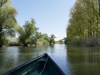 RO, Tulcea, near Crisan 5, Saxifraga-Tom Heijnen