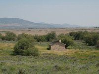 E, Ciudad Real, Daimiel, Tablas de Daimiel 3, Saxifraga-Jan van der Straaten