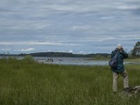 S, Uppsala Lan, Heby 20, Saxifraga-Marijke Verhagen