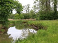 NL, Drenthe, Aa en Hunze, Deurzerdiep 88, Saxifraga-Hans Boll