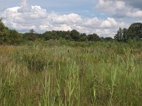 NL, Drenthe, Aa en Hunze, Oelmers 2, Saxifraga-Hans Dekker