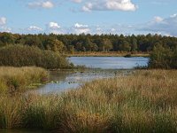 NL, Drenthe, Midden-Drenthe, Mekelermeer 3, Saxifraga-Hans Dekker