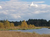 NL, Drenthe, Midden-Drenthe, Mekelermeer 4, Saxifraga-Hans Dekker