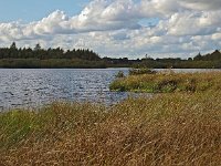 NL, Drenthe, Midden-Drenthe, Mekelermeer 5, Saxifraga-Hans Dekker