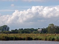 NL, Drenthe, Noordenveld, Tolberter Petten 1, Saxifraga-Hans Dekker