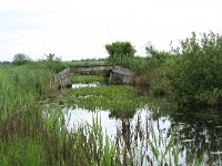 NL, Friesland, Heerenveen, De Deelen 10, Saxifraga-Hans Boll