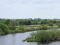 NL, Friesland, Heerenveen, De Deelen 9, Saxifraga-Hans Boll