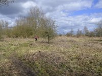 NL, Gelderland, Berg en Dal, Millingerwaard 12, Saxifraga-Tom Heijnen