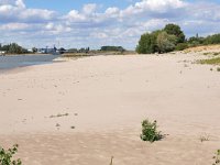 NL, Gelderland, Berg en Dal, Millingerwaard 15, Saxifraga-Tom Heijnen