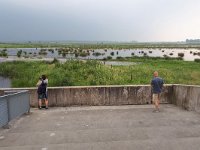 NL, Groningen, Groningen, Onnen, Onnerpolder gemaal 1, Saxifraga-Tom Heijnen